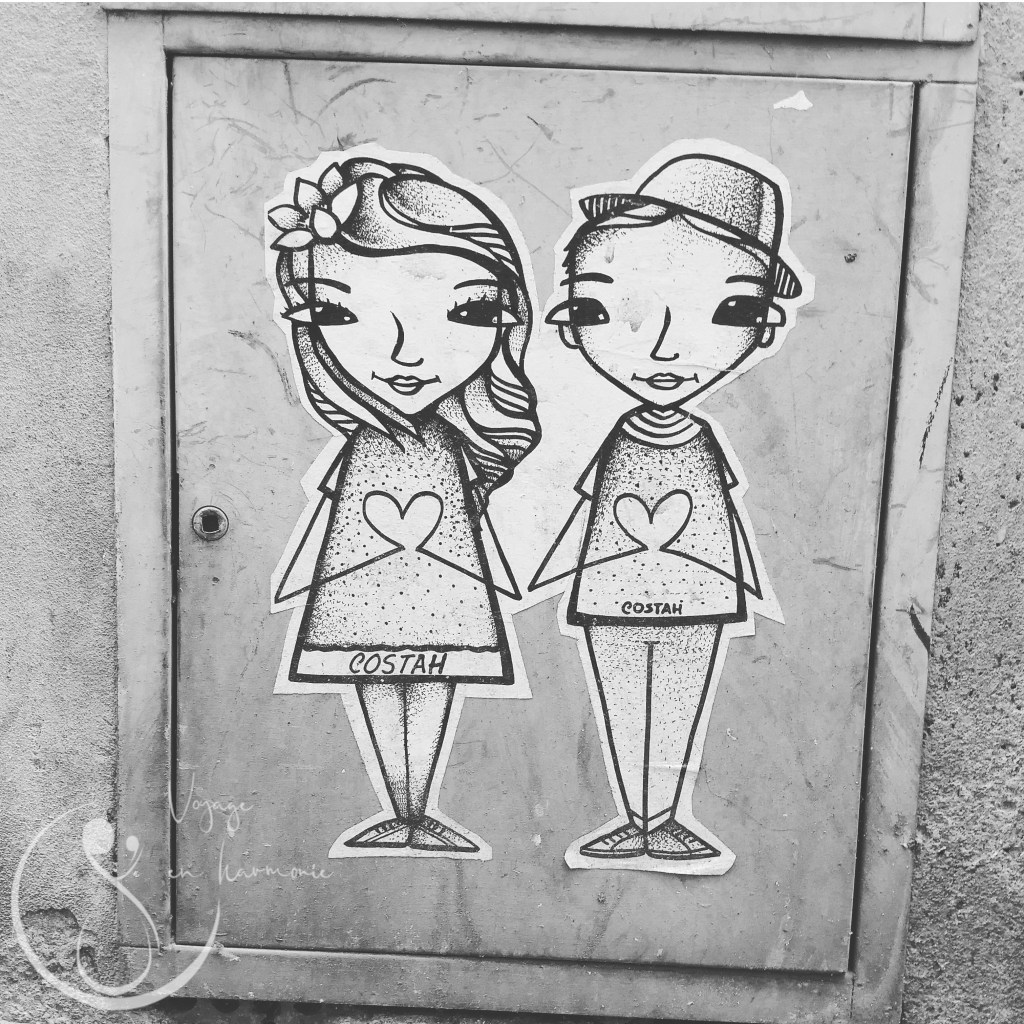 Cette image a un attribut alt vide ; le nom du fichier est costah.jpg